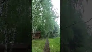 Дождь , град , звуки природы, первая гроза , медитация 🧘‍♀️