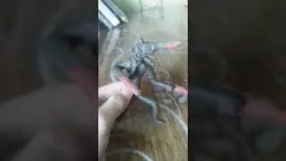 оцените от 1/10