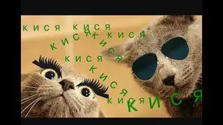 Опять жру лимон