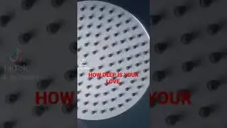 How deep is your love 