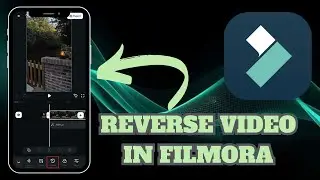 How to Play Video Backwards in Filmora - Here's How You Can Do It - 2025