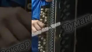 Сектор Газа на БАЯНЕ?!!🤟🤟🤟 #секторгаза #юрийхой #баян #рокбаян