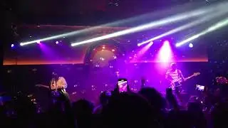 Last Dinosaurs - Apollo