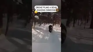 Aggressive Bear Attack 🐻 #shorts