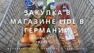 ГЕРМАНИЯ 2024 / Закупка продуктов и обзор цен в магазине LIDL в Германии