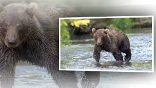 Мир природы