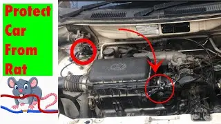 Protect Your Car From Rats || Chandra Vlogs