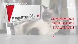 MeloxiWorld - World Veterinária
