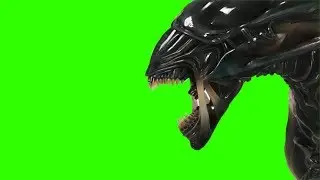 (BEST 100) MIND BLOWING GREEN SCREEN effects  pack special for commercial free use
