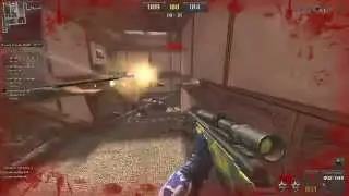 Point Blank- Modo sniper APELAO- 46/12