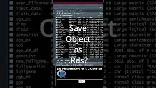 Save and load object as RDS in R?