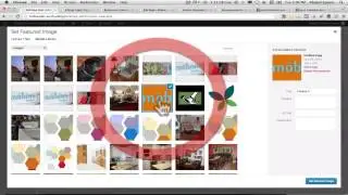 Introduction to New Wordpress Site