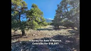 5 acres for Sale in Colorado for $18,997