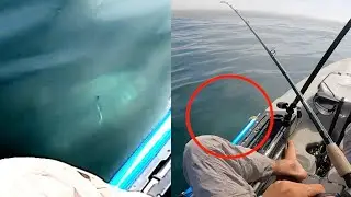 Fishing the Reef, Shark Swims Under my Kayak