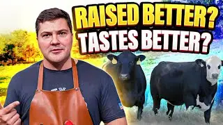 Farm to Table in Western Kentucky