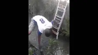 This young boy saves 4 puppys from drowning