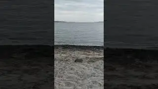 Видишь как Серега🤣🤣🤣