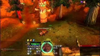 Spiders stalk girls in World of Warcraft
