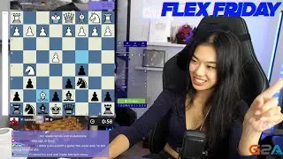 BEST Chess Daily Twitch Moments #317