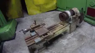 Взял на воспитание ТВ  16