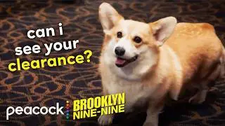 Cheddar's best moments but with subtitles | Brooklyn Nine-Nine