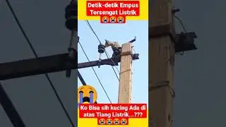 Ya Allah...!!! 😭Detik Detik empus Tersengat Listrik 😭😭😭 