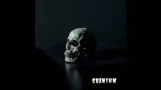 (FREE) Juice  WRLD x Roddy Ricch Type Beat ''Cranium'' (Prod. Kojak Prod.)