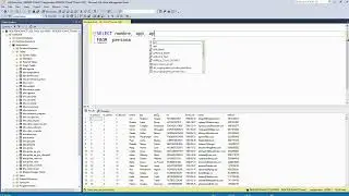 SQL Server 2022 - Basic SELECT FROM Query