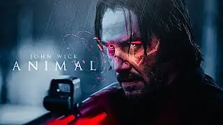 John Wick || Animal