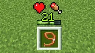 Minecraft'ı Tek Envanter Slotuyla Bitirmek
