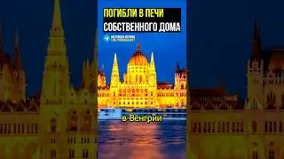 😭 Трагедия всей семьи! #археология #история