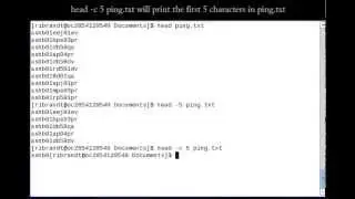 Linux Command (Head)