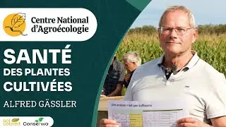 Santé et nutrition des plantes en semis direct, Alfred Gässler - Journée Séguy 2024