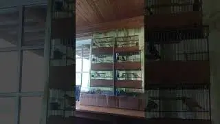 26 мая 2024 г.