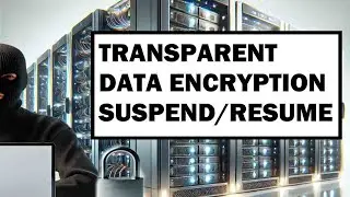 TDE SQL 2019 - Suspend and Resume