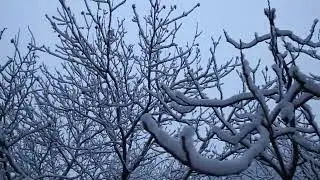 29 02 2012 Донецк 6 30 am