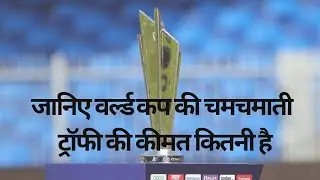 जानिए वर्ल्ड कप की चमचमाती ट्रॉफी की कीमत कितनी है #youtubeshorts #worldcup #t20worldcup