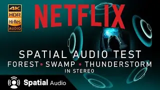 Netflix Spatial Audio: Immerse Yourself in Stereo - Forest, Swamp and Thunderstorm