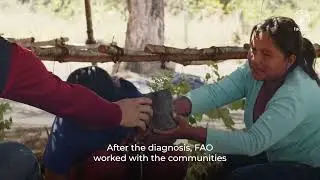 Reducing protection risks for women and their families through livelihoods developmen