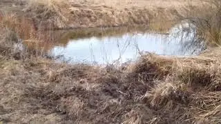 Нива на Кама Flame в скользкий подъем