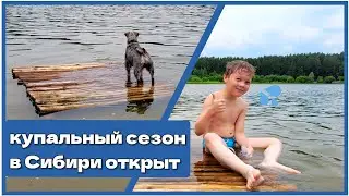 удовольствие и позитив! купание на сибирском озере. цвергшнауцер плывет на плоту. утки
