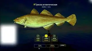 Треска на (Venga-10000), Русская Рыбалка 4 #shorts