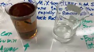 How to make Feminized Cannabis Seeds - STS spray