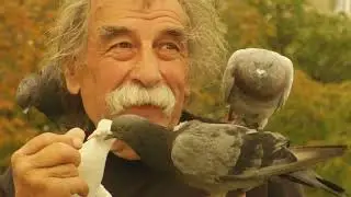 Feed the Birds