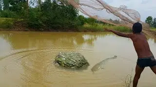 Great!! The Best Net Fishing | Cast Net Fishing