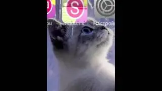 AirShou. Запись с экрана iOs 7, 8, 9 доступна! как снимать видео с экрана iOs (iPhone, iPad и т.п.)
