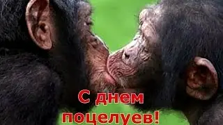 День поцелуев. 6 июня 2016. Инстаграм