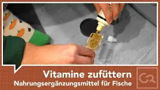 Vitamine für Aquarienfische – Eine sinnvolle Ergänzung zum Futter