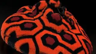 Overlook Carpet Slime