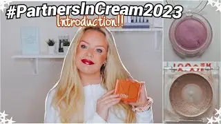 #PartnersInCream2023 | PROJECT PAN Introduction  - Using Up Cream Products!